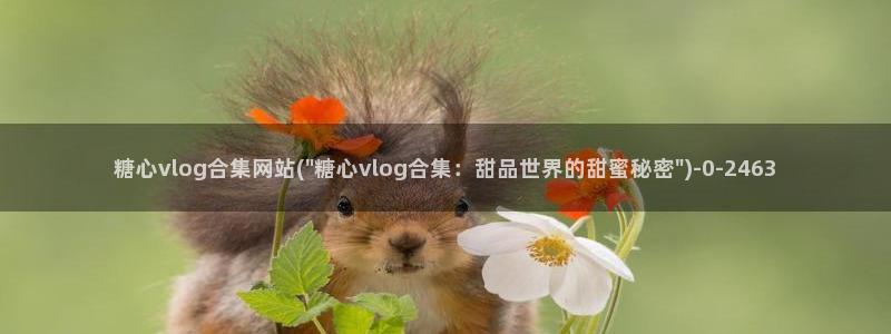 糖心vlog壁纸