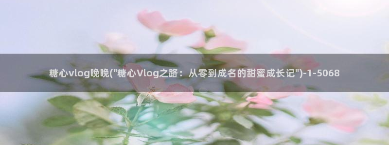 成人Vlog糖心h