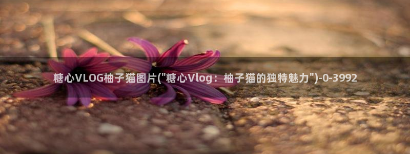 霸气吧影视糖心vlog