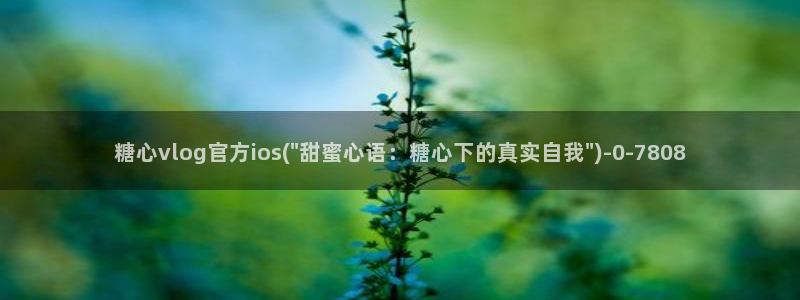 糖心vlog苹果版本