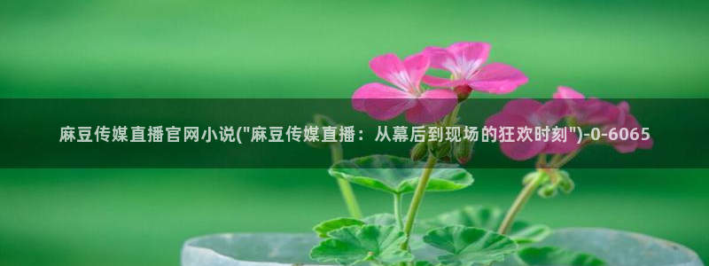 麻豆传媒映视官网：麻豆传媒直播官网小说(\