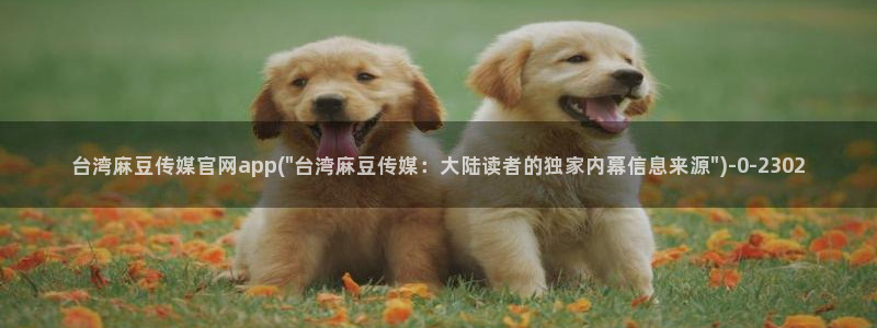 麻豆传媒官网链接：台湾麻豆传媒官网app(\