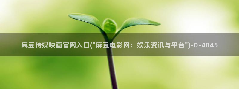 看麻豆传媒官网：麻豆传媒映画官网入口(\