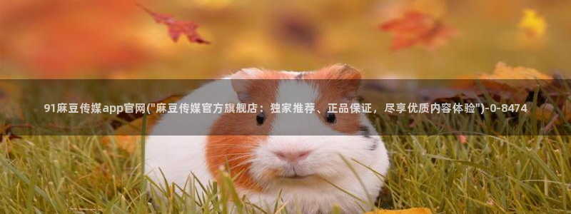 麻豆传媒官网怎么进：91麻豆传媒app官网(\