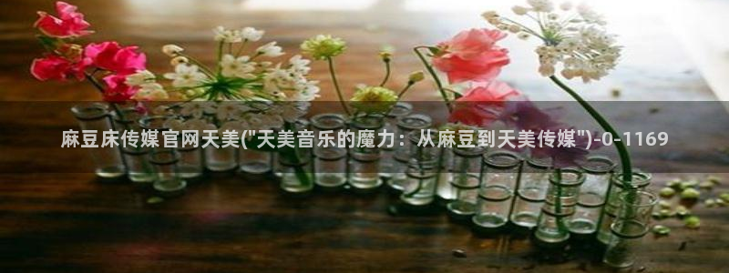 麻豆传媒官网18：麻豆床传媒官网天美(\