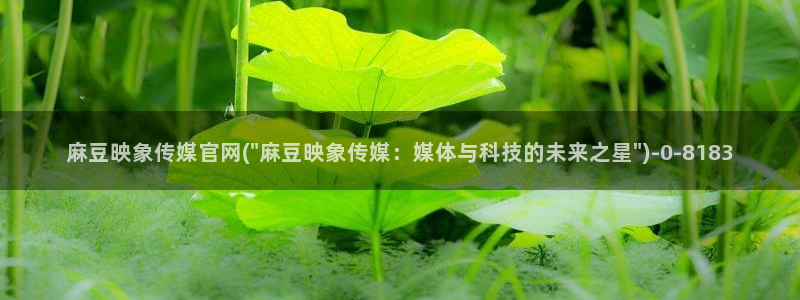 麻豆映化传媒官网