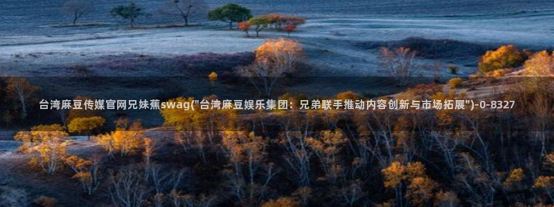 麻豆传媒官网怎么打开：台湾麻豆传媒官网兄妹蕉swag(\