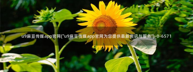 麻豆传媒官网磁力：u9麻豆传媒app官网(\