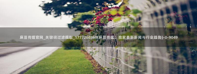 麻豆传媒印画官网：麻豆传媒官网_关键词过滤提取_1777268860(麻豆传媒：独家最新新闻与行业趋势)