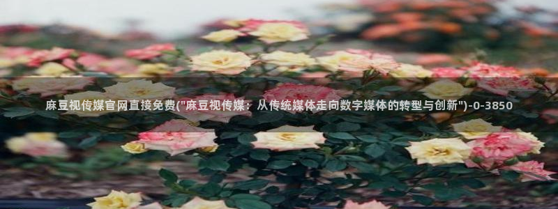 麻豆床传媒官网免费视频：麻豆视传媒官网直接免费(\