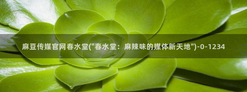 麻豆传传媒官网