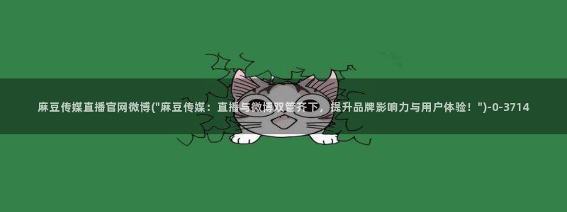 麻豆床传媒官网天美