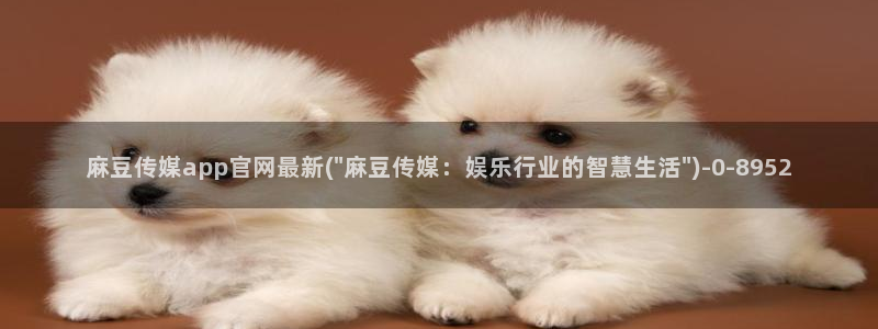 麻豆传媒91官网：麻豆传媒app官网最新(\