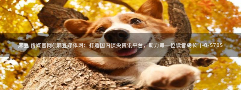 麻豆传媒眏放官网：麻豆 传媒官网(\