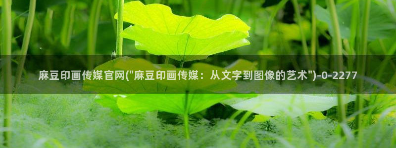 麻豆印象传媒app官网