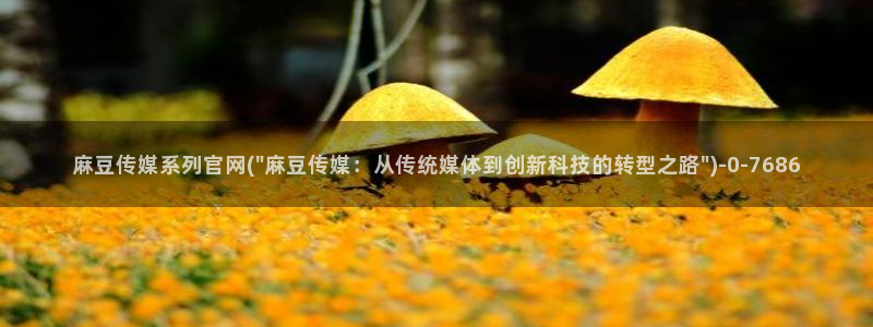 麻豆官网传媒映画：麻豆传媒系列官网(\