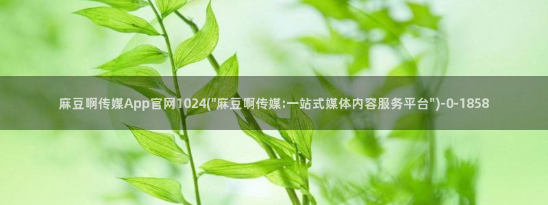 麻豆传媒官网综合