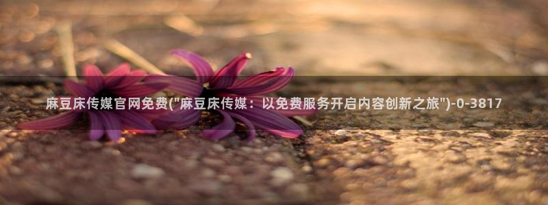 麻豆印映传媒官网