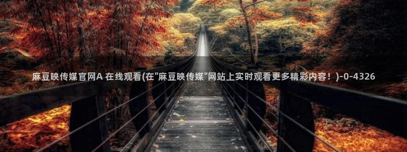 麻豆日记传媒官网