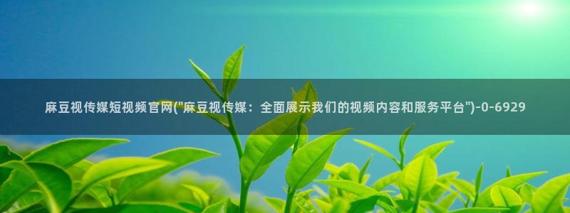 传媒的官网麻豆