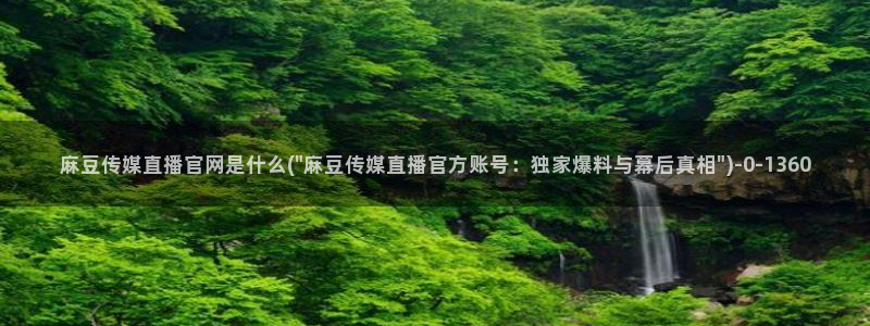 麻豆传媒画映官网观看