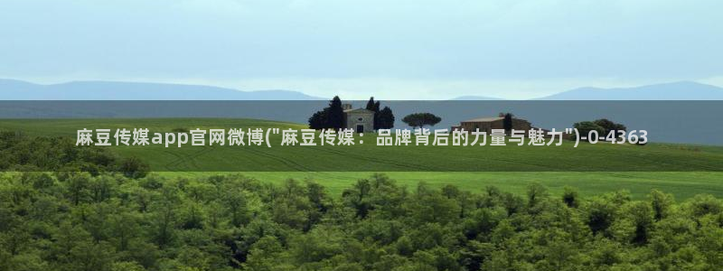 麻豆官网传媒