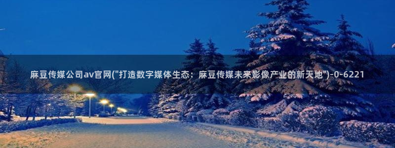麻豆啊传媒官网：麻豆传媒公司av官网(\