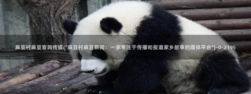 台湾麻豆传媒官网地址