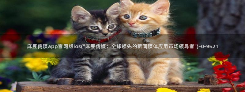 麻豆传媒自制官网