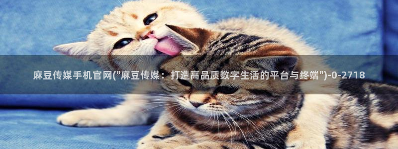 麻豆传媒在线官网：麻豆传媒手机官网(\