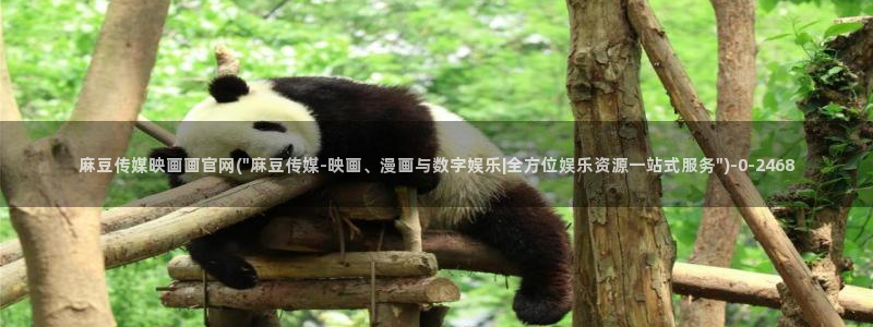麻豆传媒App下载官网：麻豆传媒映画画官网(\