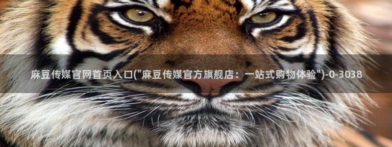 麻豆直播传媒官网